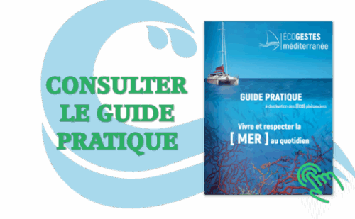 consulter_le_guide_pratique-509x323