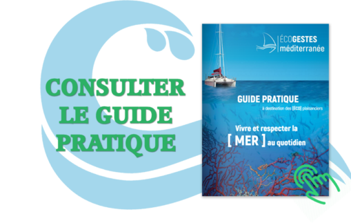 consulter_le_guide_pratique-509x323 consulter_le_guide_pratique-509x323